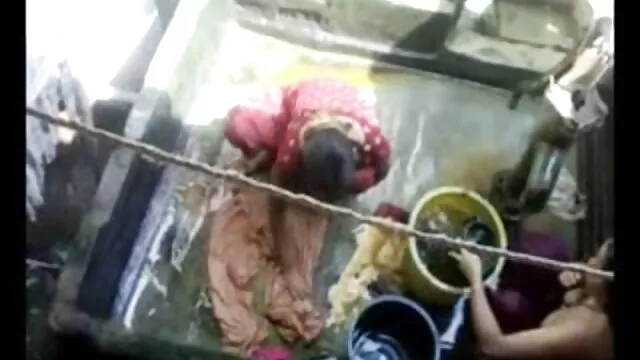 फूहड़ बीएफ और सेक्सी मूवी उसे बिल्ली और गधे गड़बड़