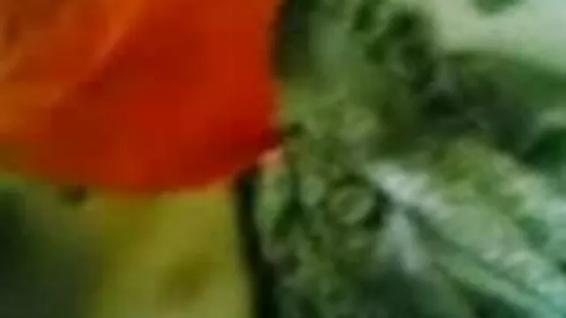 गर्म एमआईएलए के साथ एम एफ एम बीएफ सेक्सी मूवी वीडियो में त्रिगुट