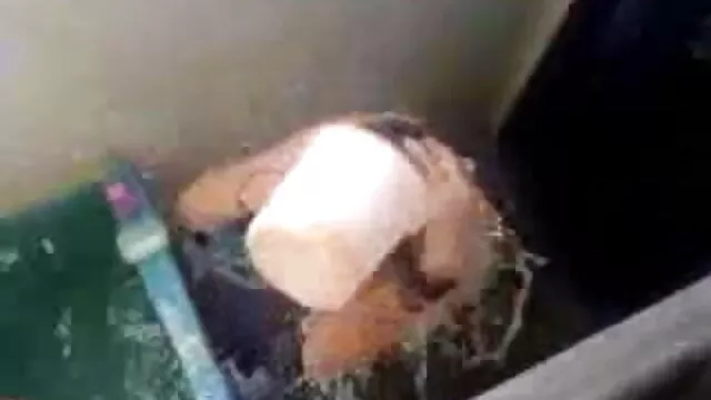 जंगली बीएफ मूवी सेक्सी हिंदी श्यामला दो लोग समुद्र तट पर