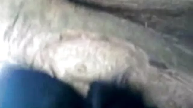 निगल लिया और नेटली उसके सभी सह निगल बीएफ सेक्सी मूवी चाहिए