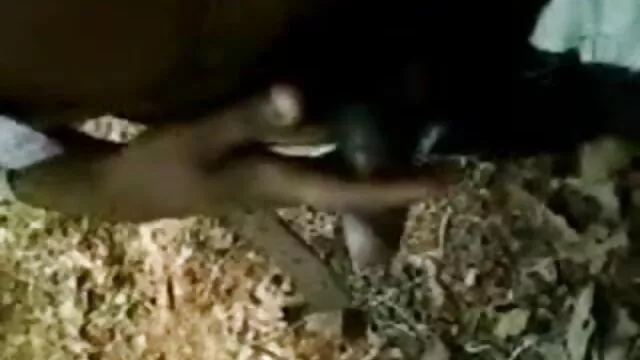 डैडी अपने लड़के पर बीएफ सेक्सी मूवी मूवी चुपके करने के लिए तैयार है