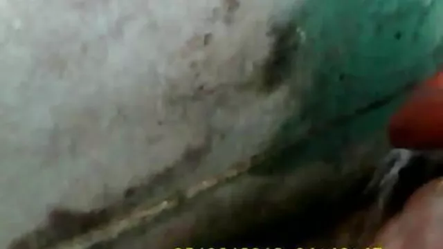 मेरी सेक्सी प्रेमिका चलाता है हिंदी सेक्सी बीएफ मूवी