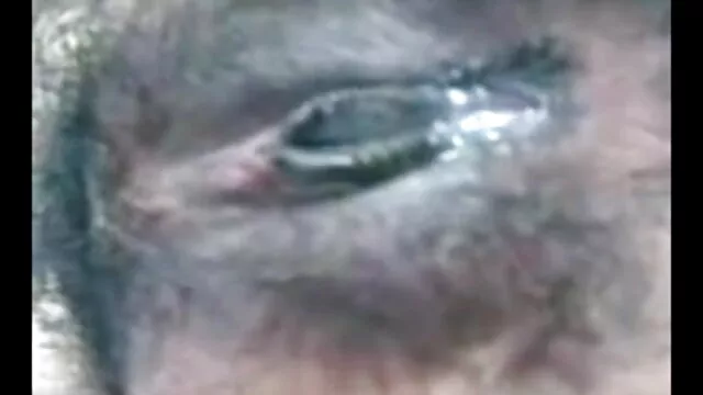 बड़े काले डिक और गधा बीएफ मूवी सेक्सी फिल्में पहली फिल्म