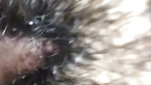 सुनहरे बालों वाली पत्नी एक और सेक्सी बीएफ हिंदी मूवी आदमी के बड़े डिक