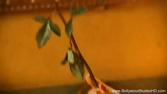 एमेच्योर समलैंगिकों चाट और छूत बीएफ मूवी सेक्सी