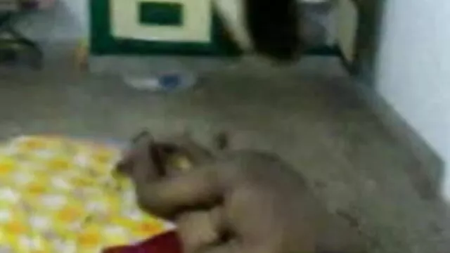 अरब समलैंगिक शातिर, मुस्लिम बीएफ मूवी सेक्सी फिल्में लीबिया बंद मरोड़ते और प्रार्थना कालीन पर कमिंग