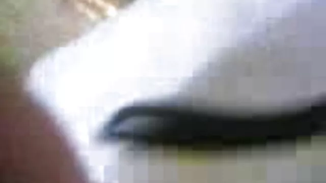 वीआर पोर्न-सींग का बना हुआ छात्र उसे पियानो शिक्षक (वीआर बीएफ मूवी सेक्सी फिल्में 360)
